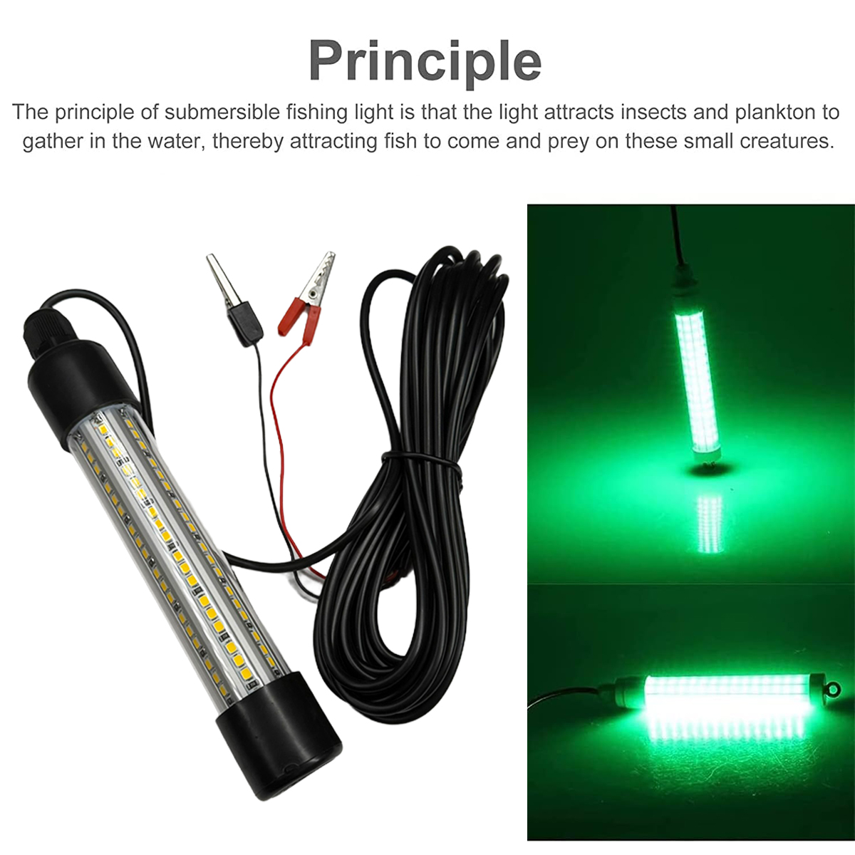 Led 수중 낚시등 탐어등 방한 선등 냉백/온백/녹색/ - Fishing Boat Navigation Light 리뷰 및 가격